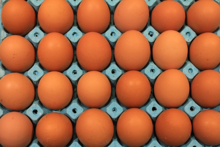 Yumurta üretimi 6 ayda 330 milyon adet azaldı