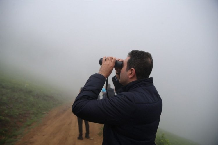 Rize'de 20. Dağ Horozu Şenliği: Yine görünmedi