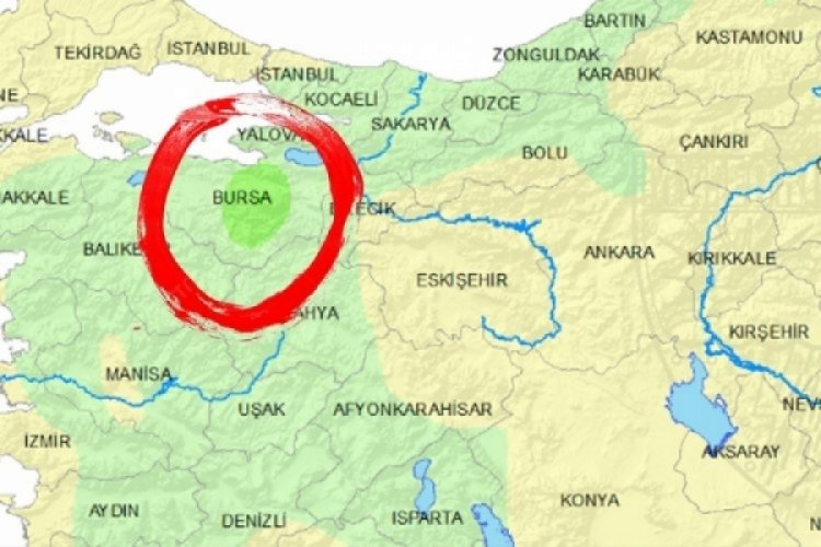 Bursa'da sayıları giderek arttı! Şehrin her yerindeler...