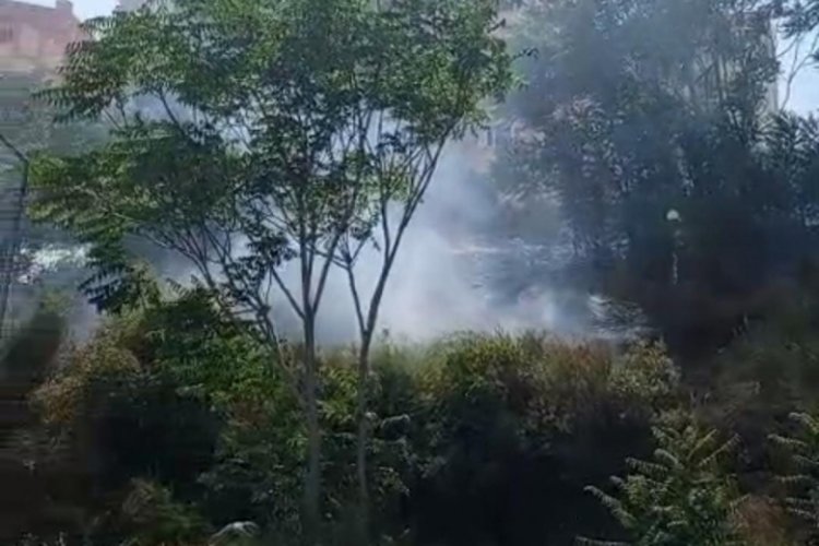 Bursa'da rüzgarla büyüyen yangın korkuttu!