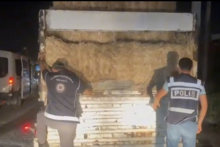 Hatay'da TIR dorsesinde 31 kaçak göçmen yakalandı