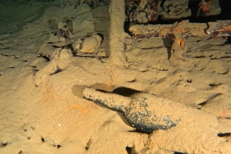 Su Altı Parkı'nda 110 yıllık şarap şişesi bulundu!