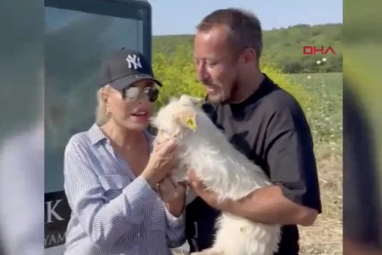 Ajda Pekkan'dan hayvanseverlere sahiplenme çağrısı