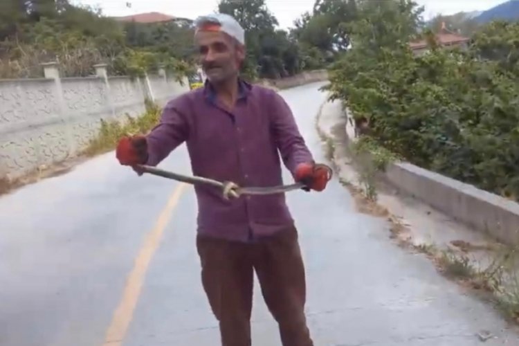 Yılanları elleriyle yakalayıp düğüm atan adam şoke etti