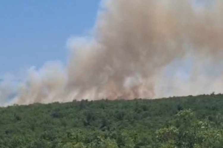 Bursa'da orman yangını! Havadan ve karadan müdahale...