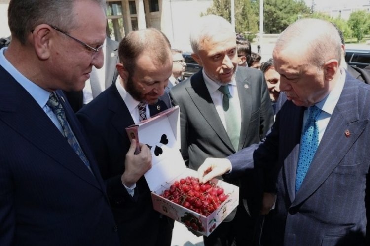 Milletvekillerinden Cumhurbaşkanı Erdoğan'a Kütahya kirazı ikramı