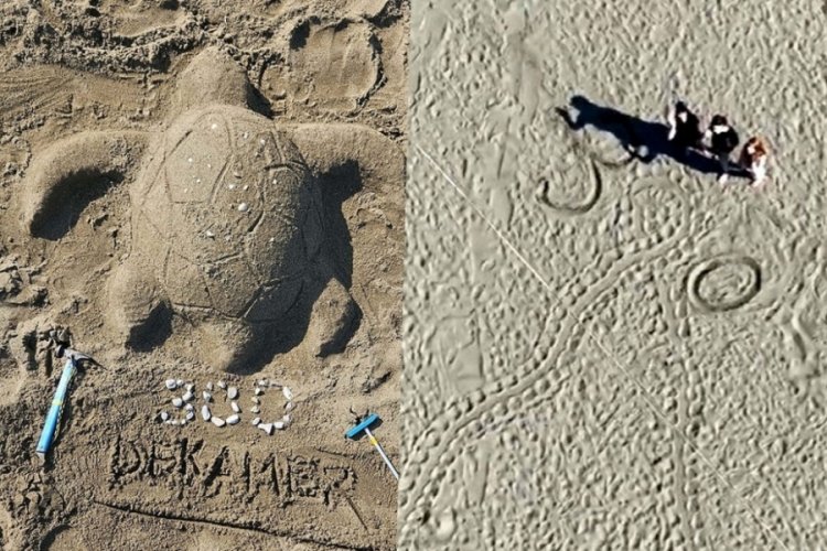 İztuzu Plajı'nda caretta yuva sayısı 300'e ulaştı