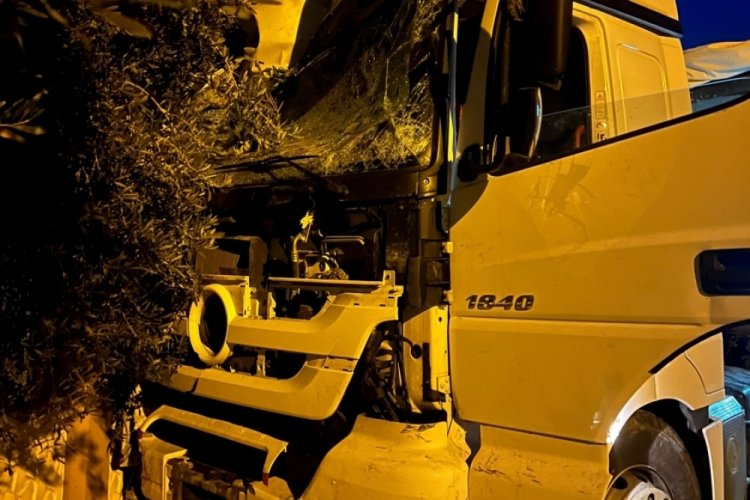 Tır sürücüsü uyudu, ortalık savaş alanına döndü!