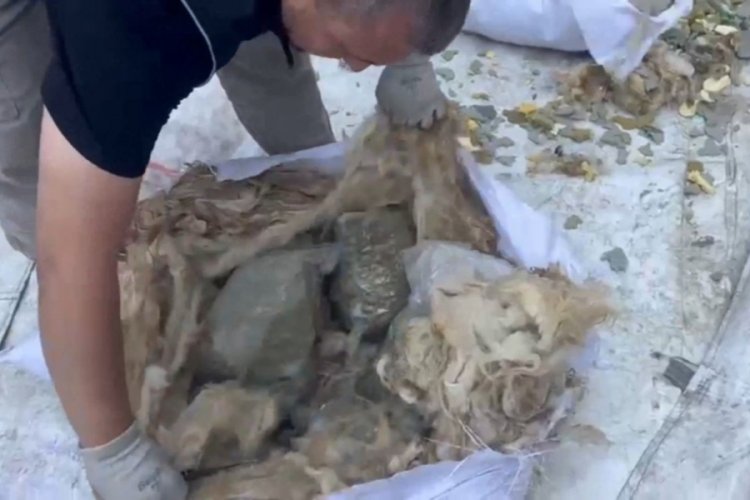 Yün torbalarında kilolarca uyuşturucu ele geçirildi!
