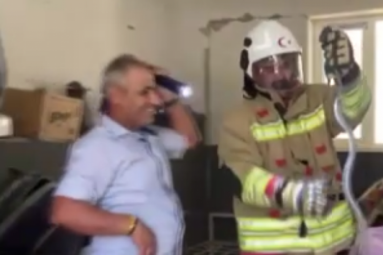 Yılana verilen tepki gülümsetti