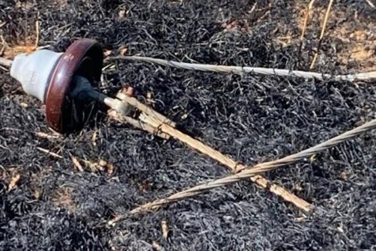 Yüksek gerilim hattı koptu, buğday tarlası alev aldı