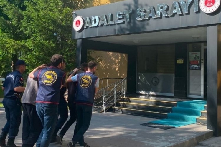 Arı hırsızları yakalandı!