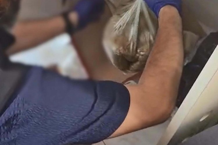 Ayakkabı kutusuna gizlenmiş 1 kilo uyuşturucu ele geçirildi