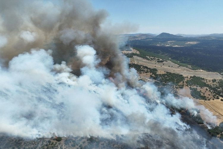Manisa'nın Kula ilçesinde orman yangını