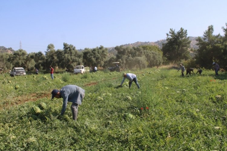 'Hiçbir yere ayrılmıyoruz' Saatlerce sıra bekliyorlar...