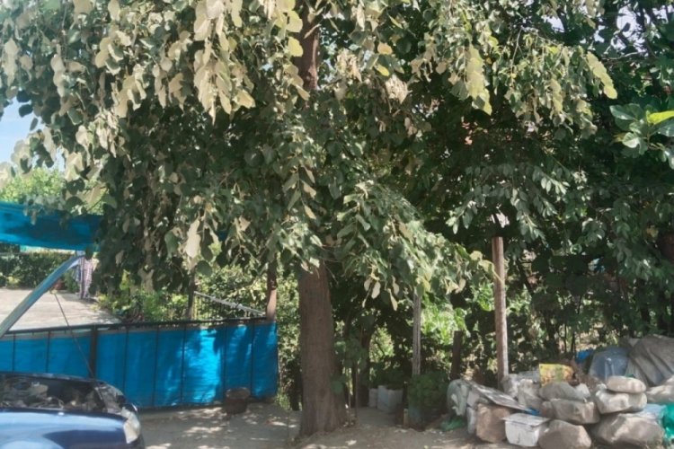 Korkutan olay! 6 metre yükseklikten düştü