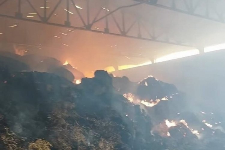 Samanlık yangını: Binlerce balya saman kül oldu