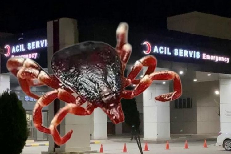 Bir can kaybı daha! Kene şüphesi...
