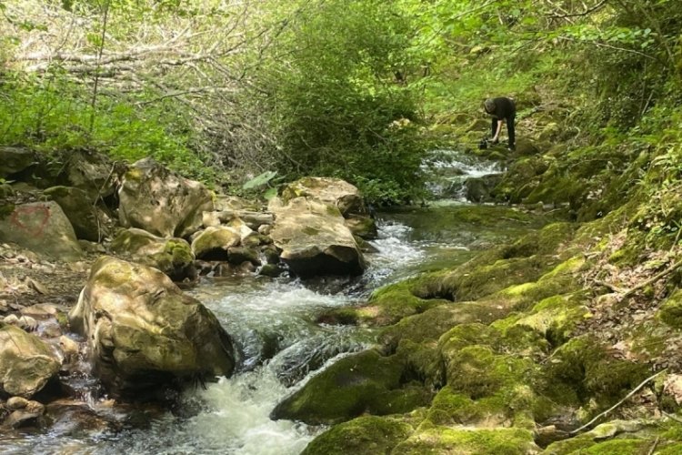 Bursa'nın el değmemiş güzelliği! Burada zaman adeta duruyor...