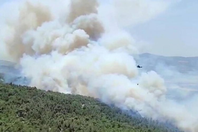 Manisa'da orman yangını ikinci gününde