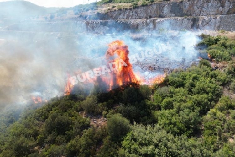 Bursa'da bir yangın daha! Geniş alan alevlere teslim oldu
