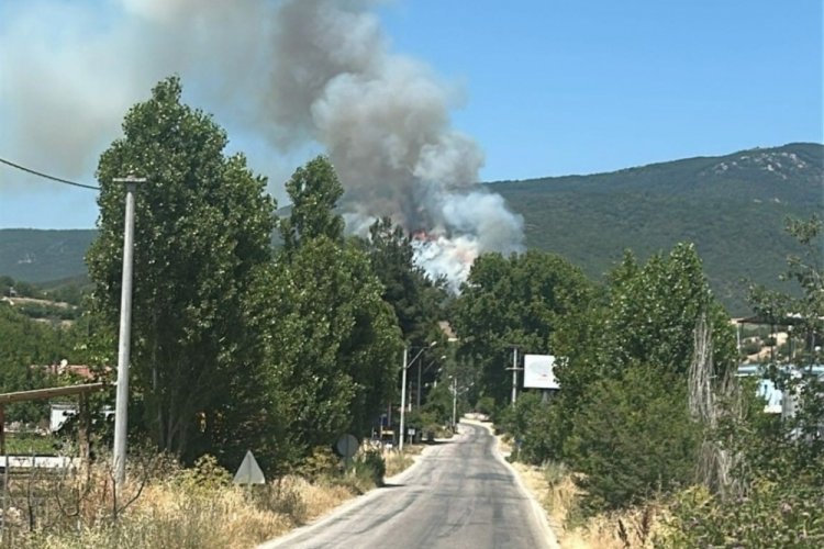 Bursa'da orman yangını! Alevler yükseliyor...