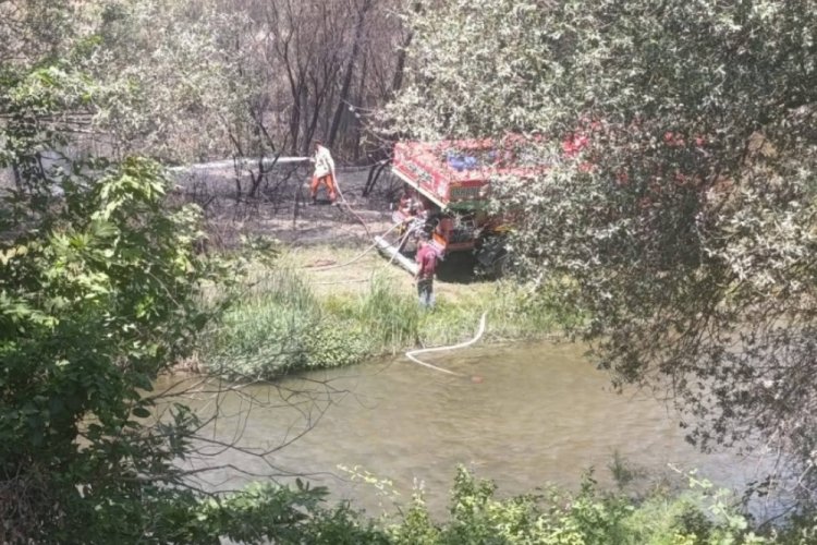 Bursa'nın o dağ ilçesinde korkutan yangın 