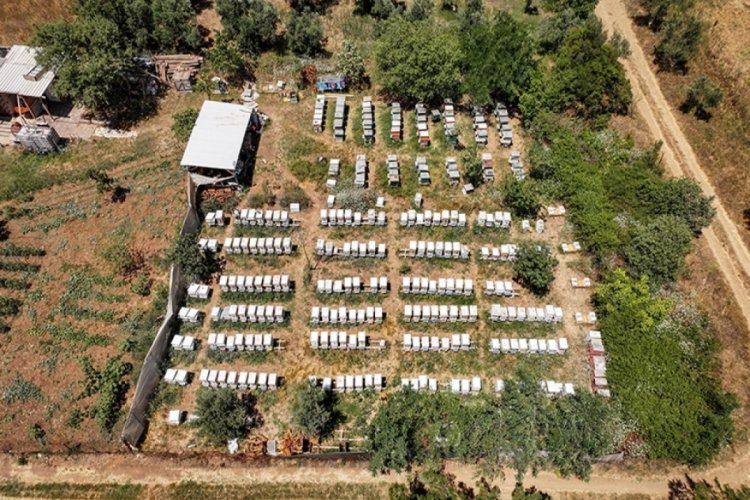 Bursa'da fabrikadan ayrılıp başladılar! Kilosunu 45 bin TL'ye satıyorlar...
