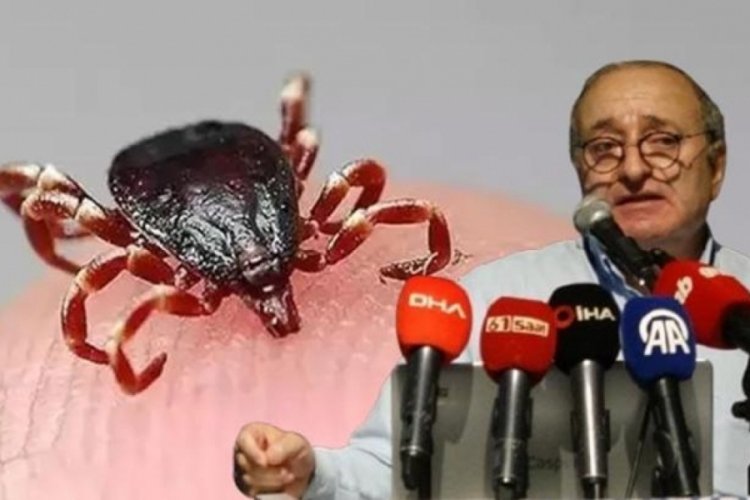 Kenelerin neden olduğu iki hastalık belli oldu! Birinde uzman az...