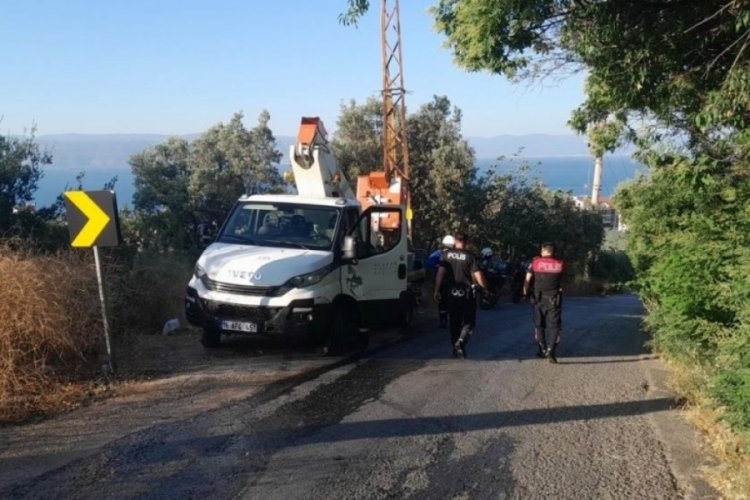 Bursa'da karga ortalığı karıştırdı!