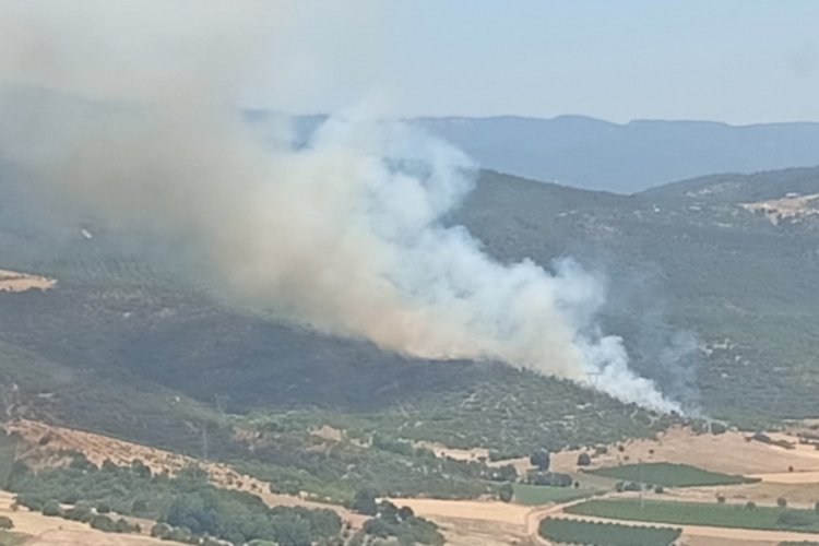 Bursa'daki yangın devam ediyor!