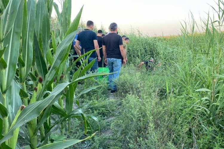 Adana'da sazlıklar arasında bir kişi ölü bulundu