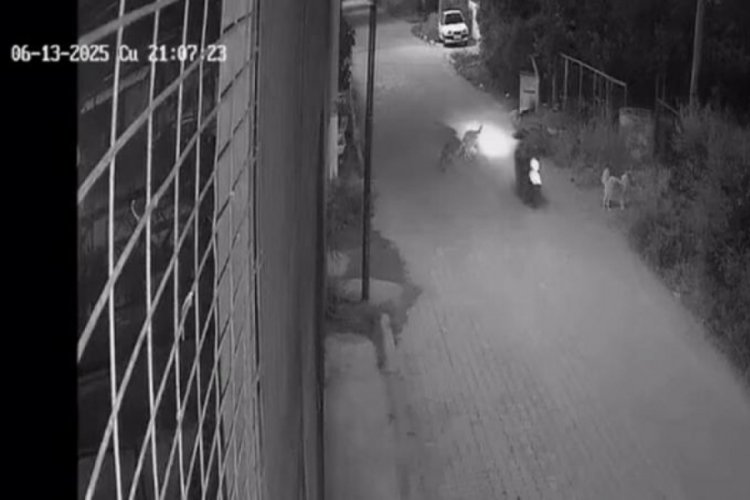 Motosikletiyle köpeğe çarpan sürücüden acı haber!
