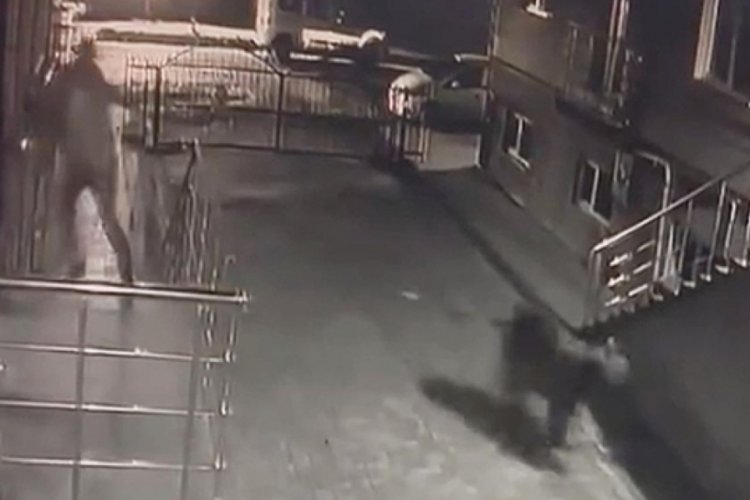Gece gece neye uğradıklarına şaşırdılar! Kedi desen değil köpek desen değil...