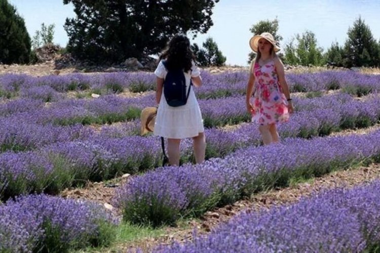 Tatil tercihinde yeni trend 'tarım turizmi'