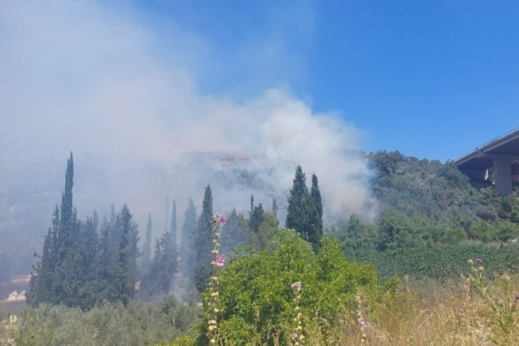 Bursa'nın ciğerleri yanıyor! Çam ormanı alev aldı