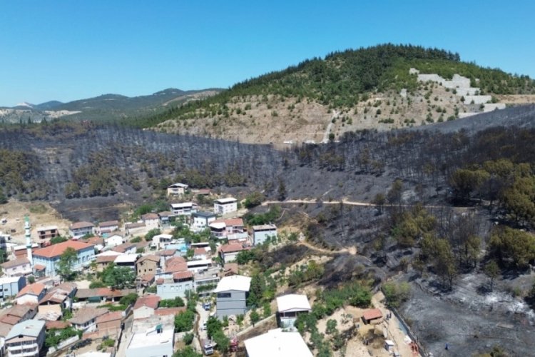 Bursa'da köyü saran yangınla ilgili flaş gelişme!