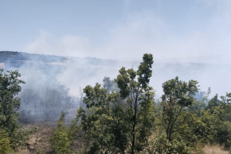 Bursa'da bir orman yangını daha! Müdahale devam ediyor...