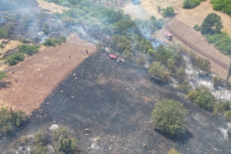 Bursa İnegöl'deki orman yangını kontrol altına alındı