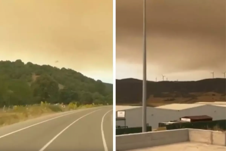 Sakarya'daki yangının dumanı Eskişehir'i kapladı