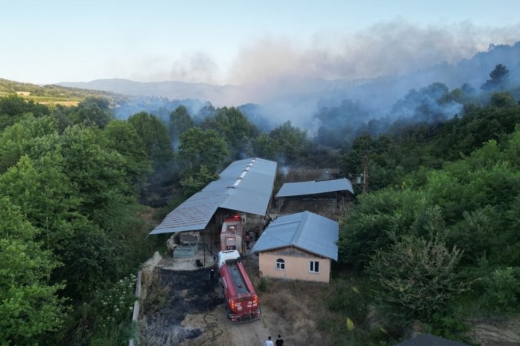 Önüne geçilemiyor! Bursa'da bir yangın daha