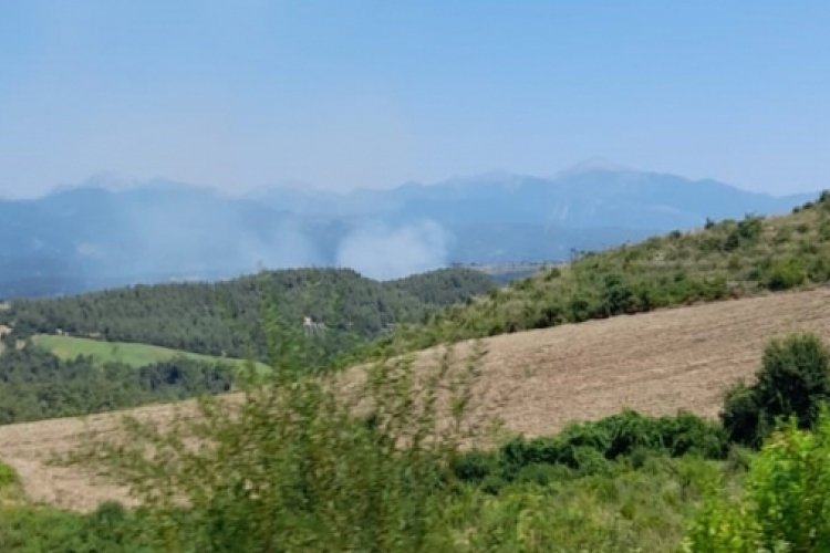 Osmaniye'de orman yangını