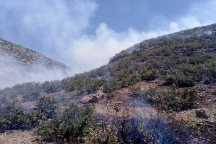 Bir yangın haberi de Mardin'den geldi