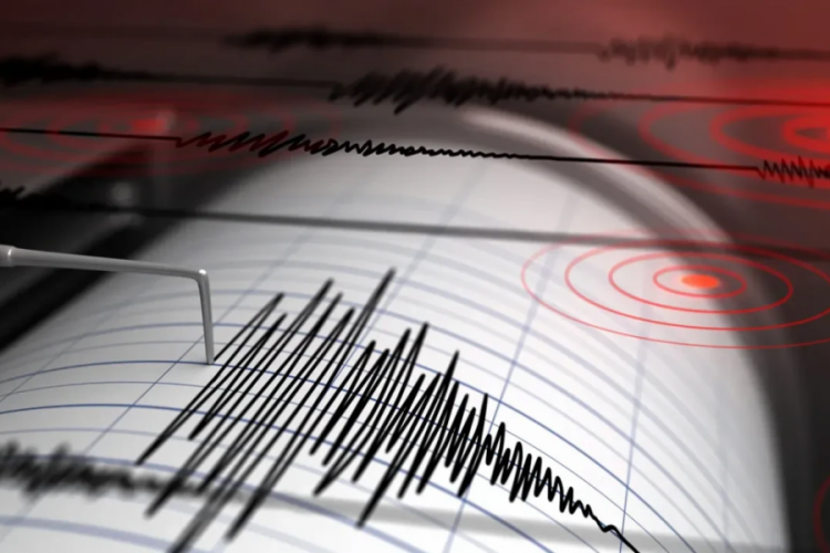 Muğla'da deprem