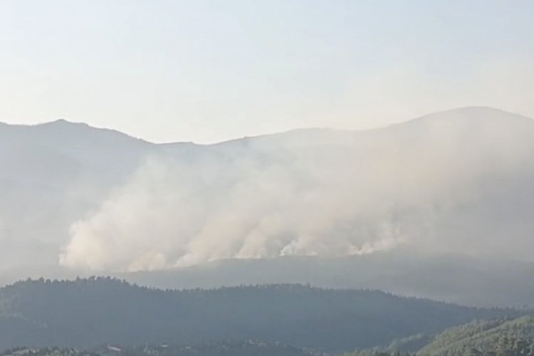 İzmir'de yangına müdahale sürüyor