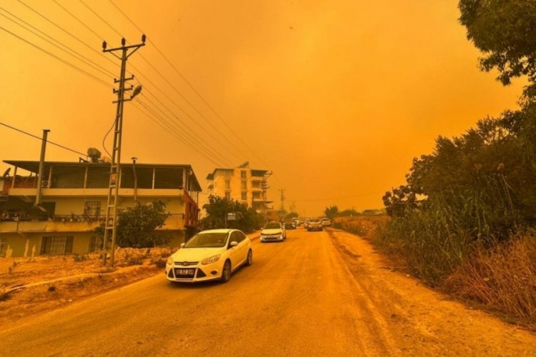 Hatay'da ormanlık alanda yangın çıktı