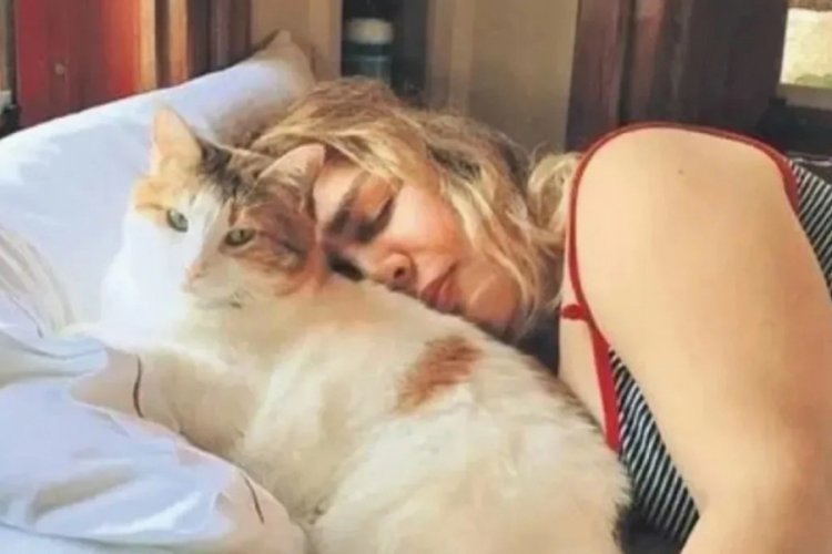 Sezen Aksu'nun acı günü! Kedisi Sütlü öldü