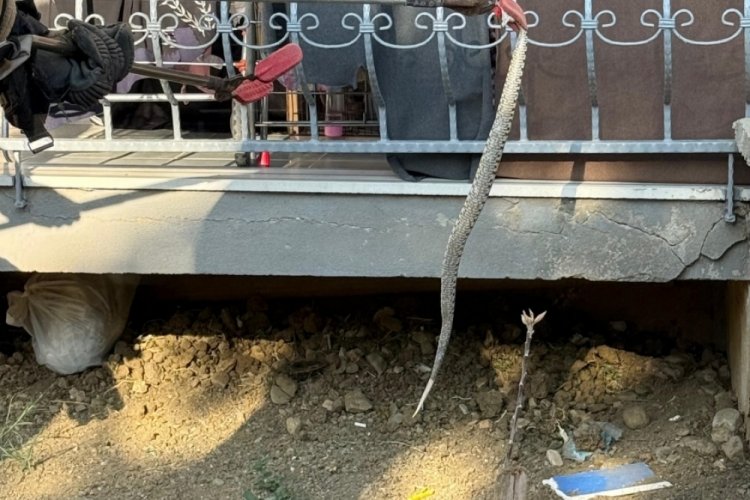 Bursa'da ortaya çıktı! Daha önce 18 ilde görülmüştü