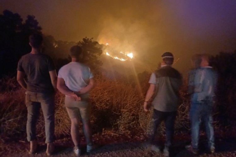 Manisa Ahmetli'de çıkan orman yangını Salihli'ye ulaştı