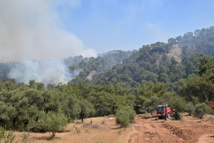 Manisa'daki orman yangınlarıyla yoğun mücadele devam ediyor